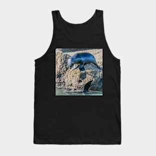 Seals at Play Tank Top